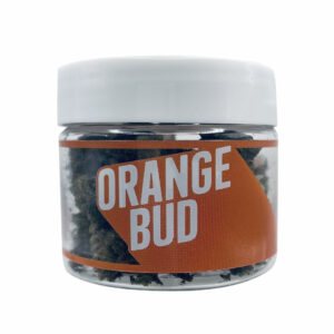 orange bud