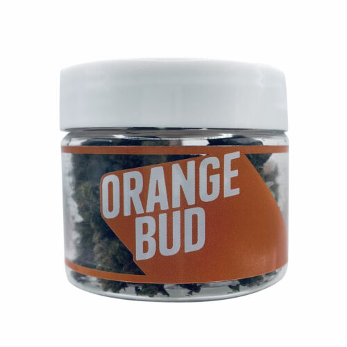 orange bud